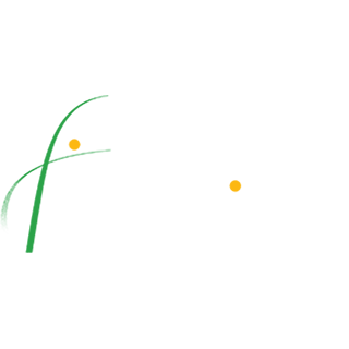 Ruder Finn
